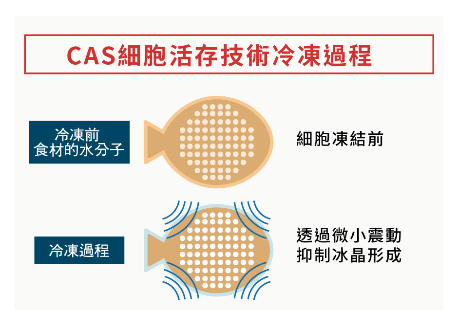 CAS 細胞活存冷凍過程 3